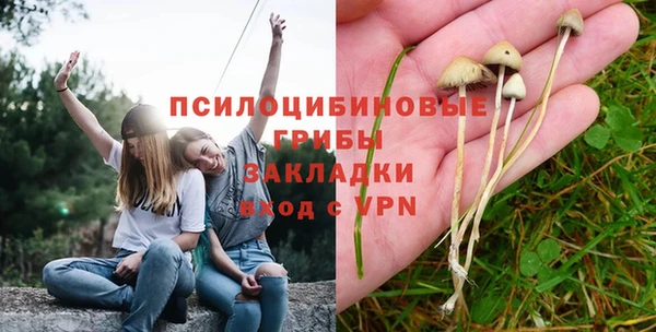 первитин Алексеевка