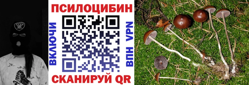 Псилоцибиновые грибы MAGIC MUSHROOMS  Вышний Волочёк 
